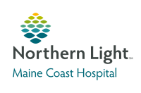 Northern Light Maine Coast Hospital logo